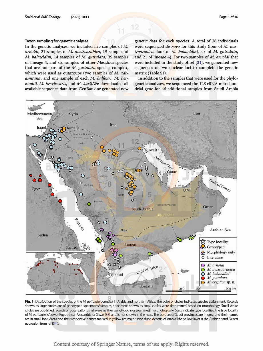Madar Al-Saa Images 0.4721322136324886