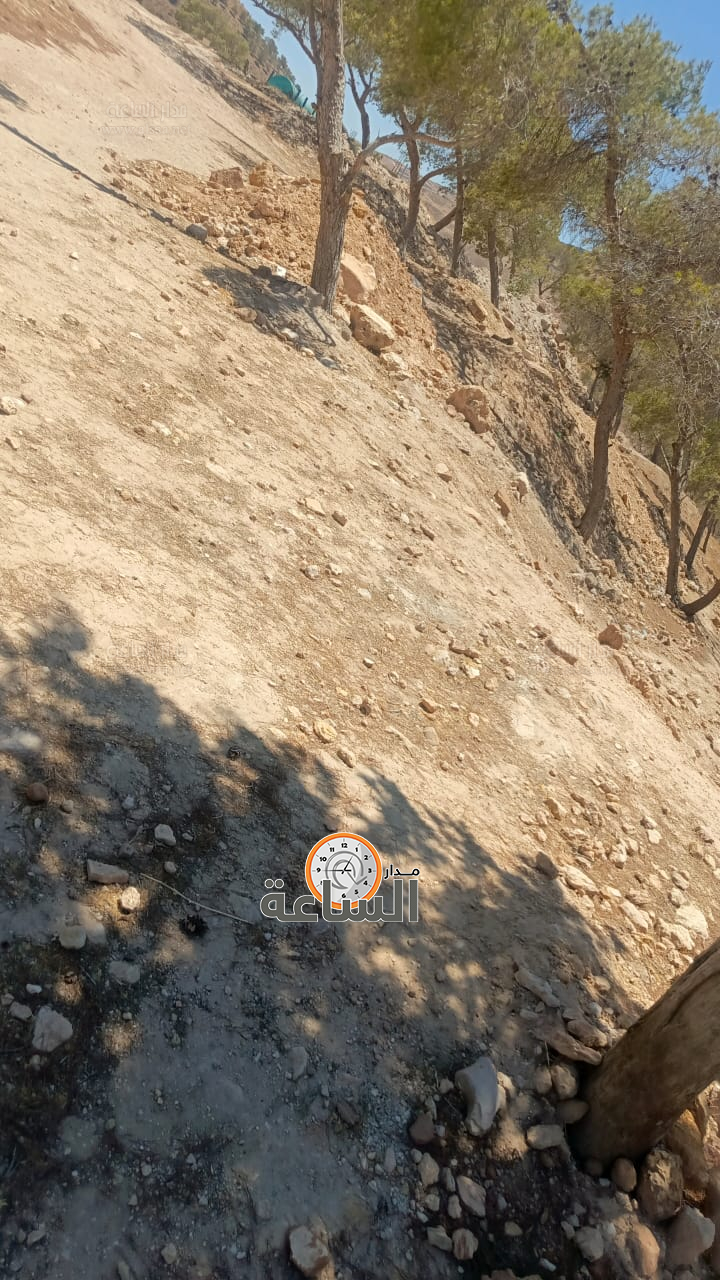 Madar Al-Saa Images 0.6822725785758611