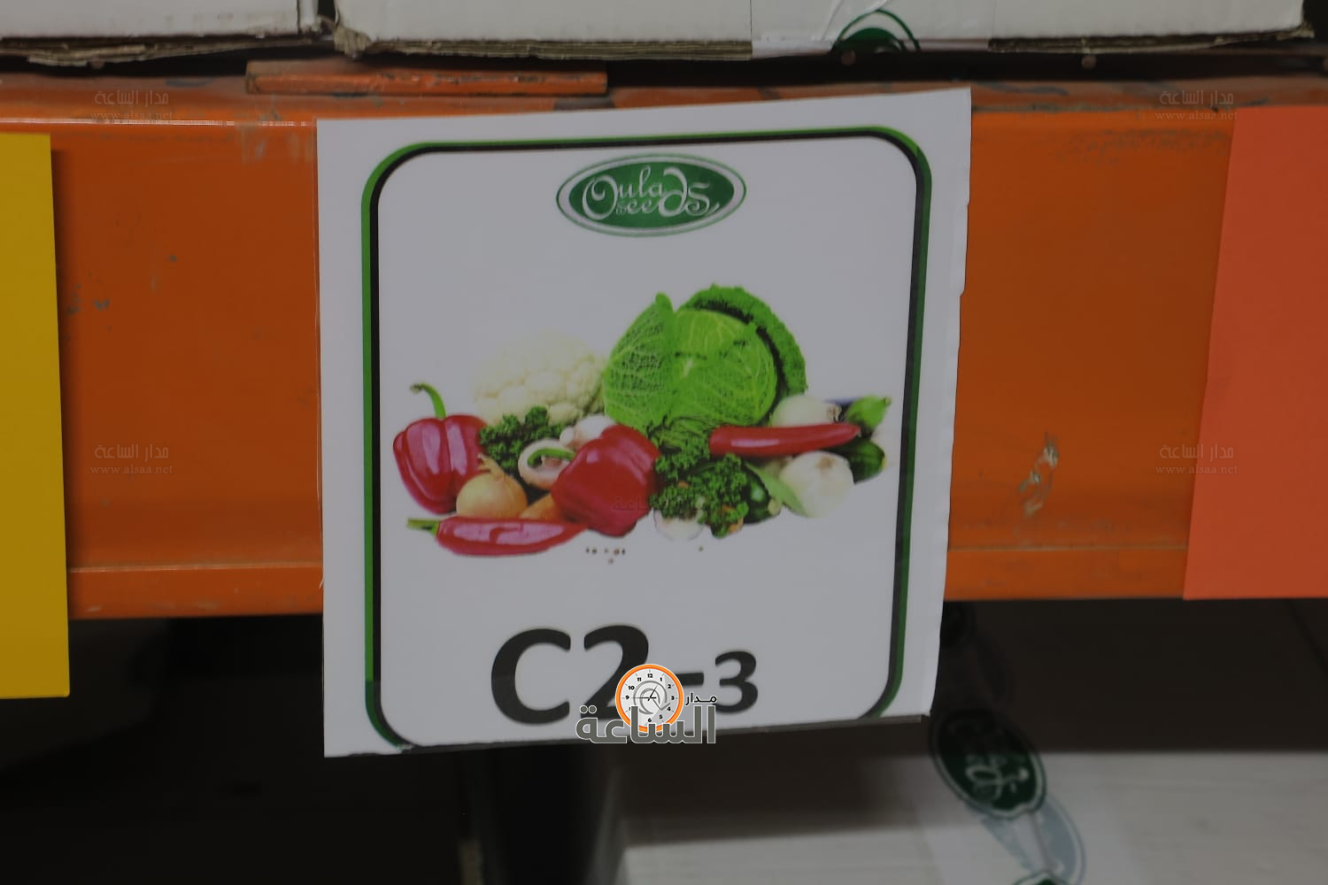 Madar Al-Saa Images 0.8885009524892509