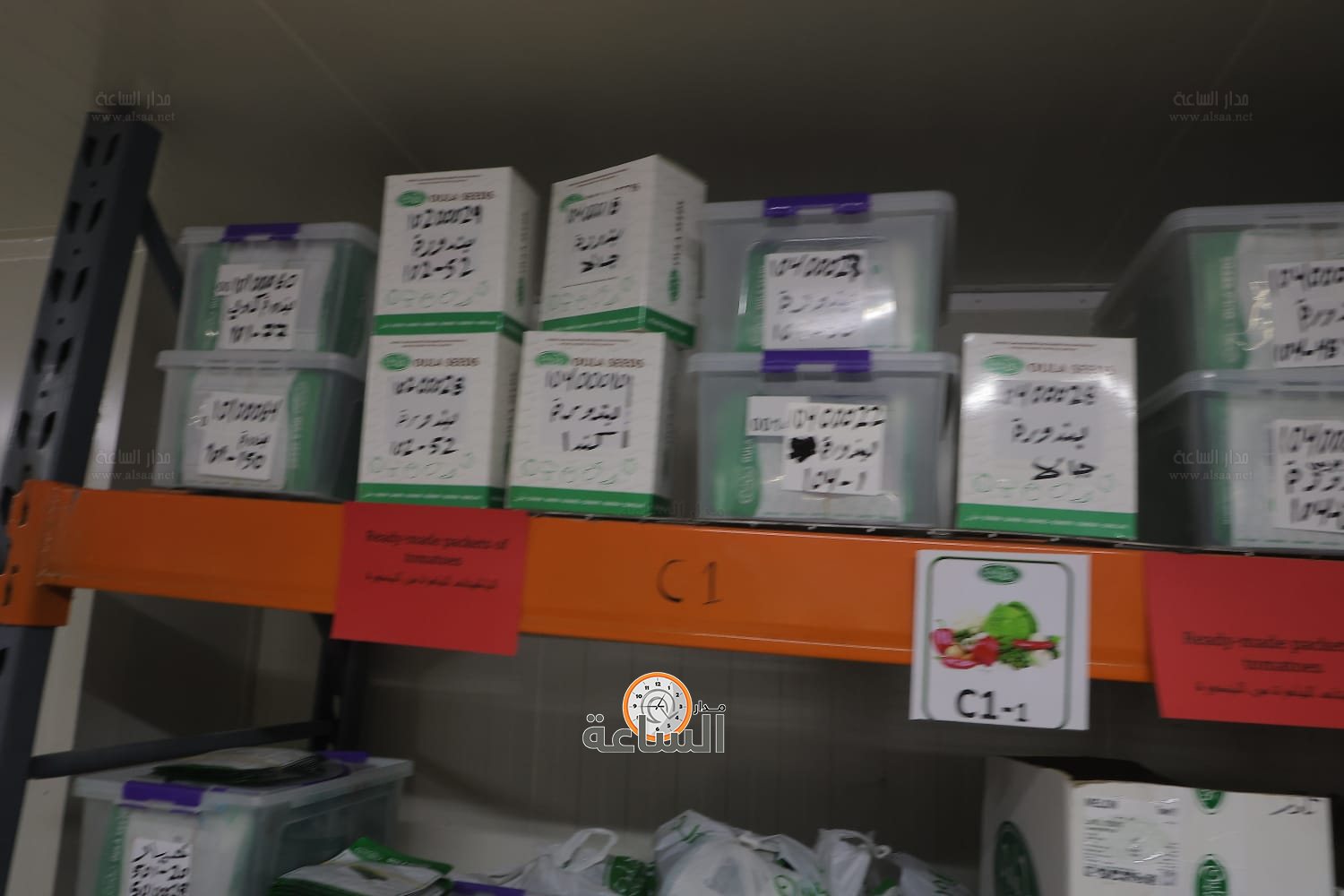 Madar Al-Saa Images 0.4456276739322482