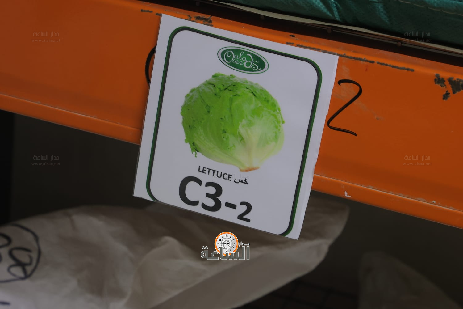 Madar Al-Saa Images 0.5029786935641524