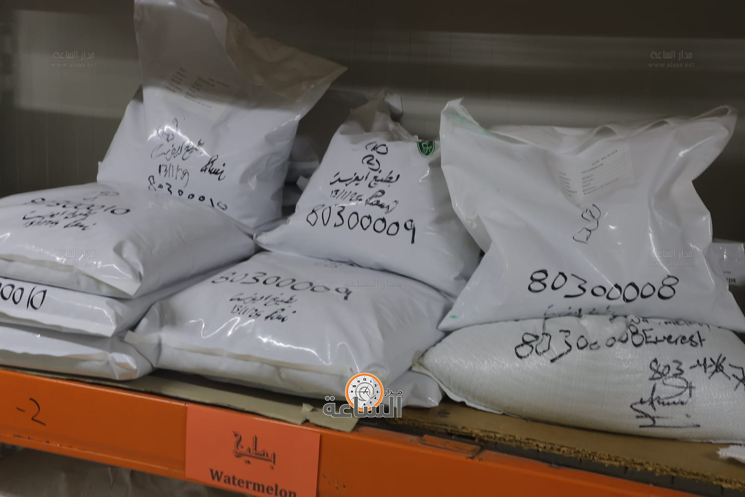 Madar Al-Saa Images 0.9662316830392214