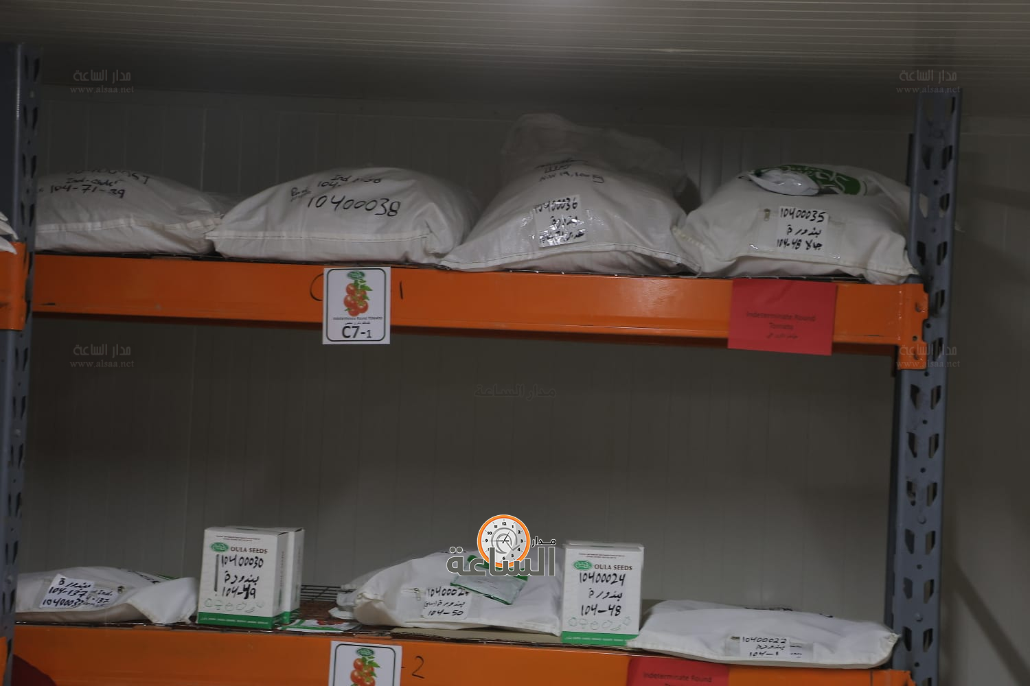 Madar Al-Saa Images 0.50270591022529