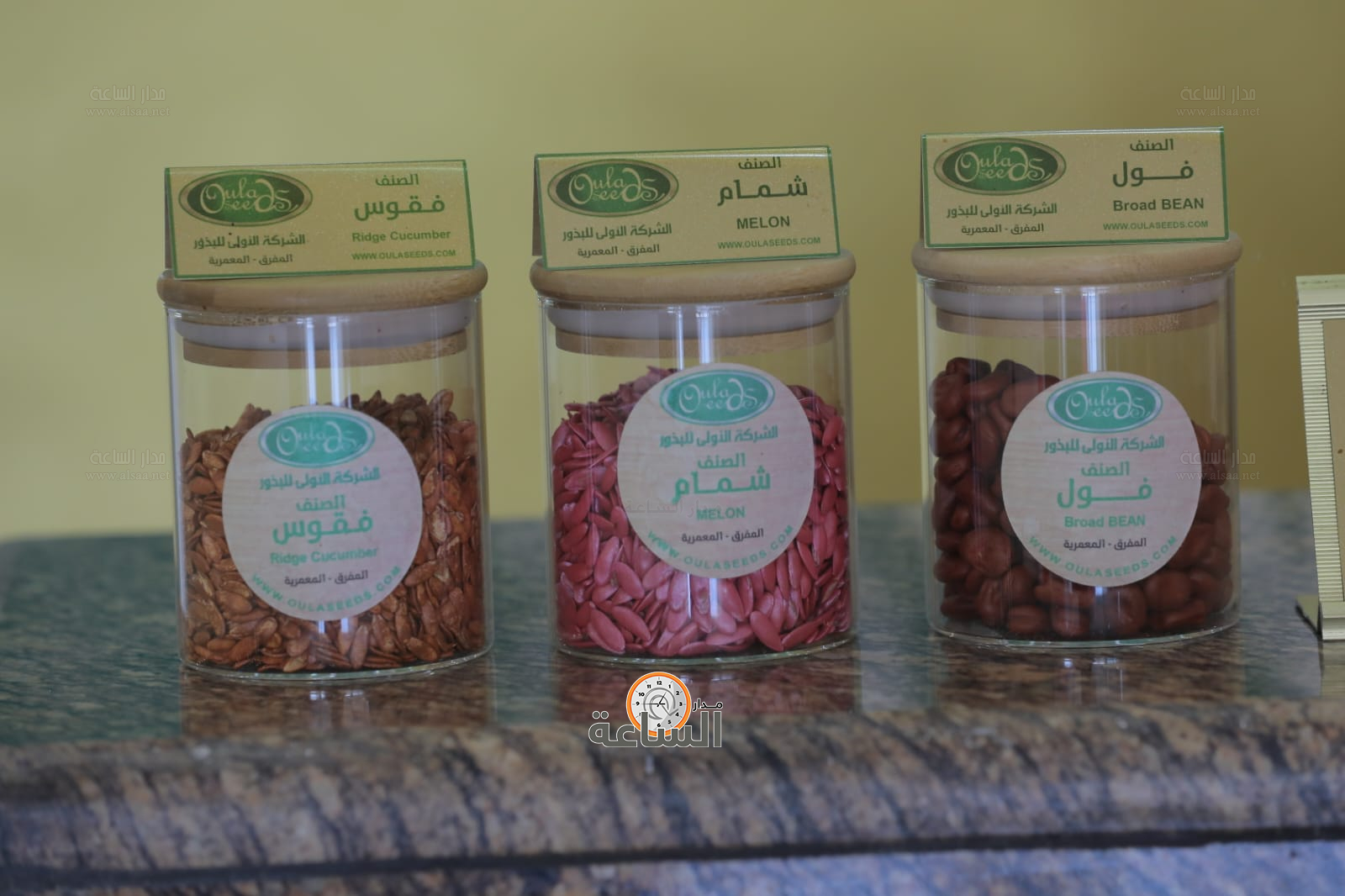 Madar Al-Saa Images 0.03274284611183864