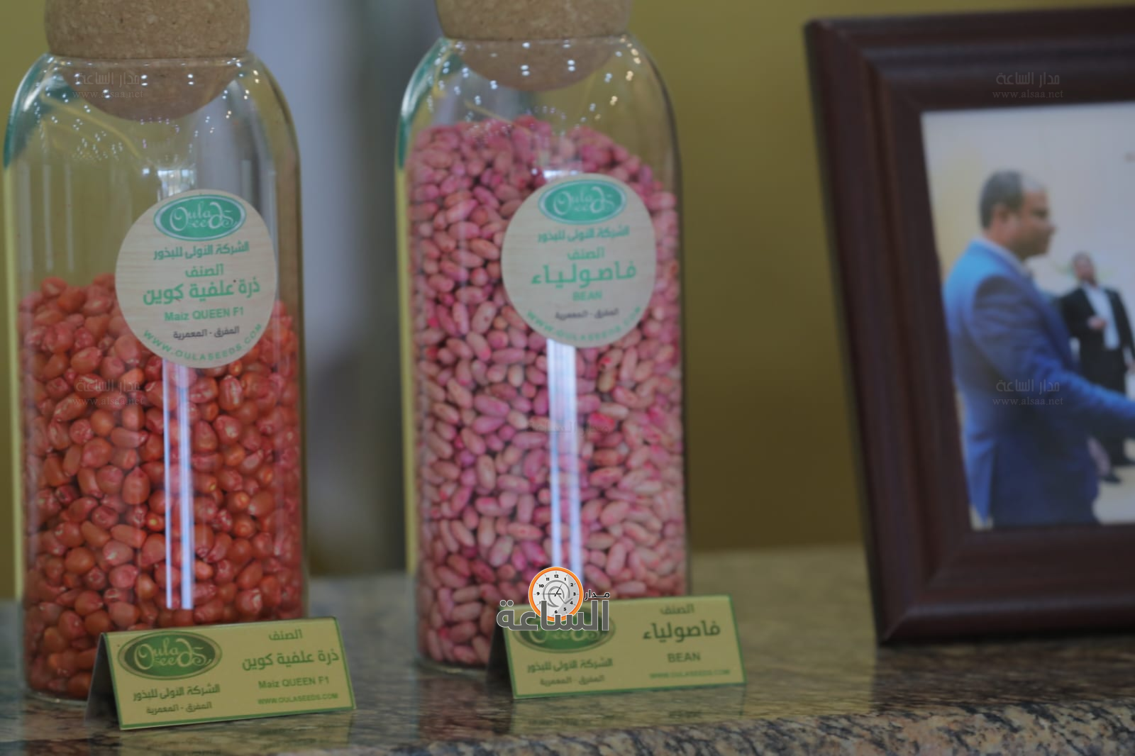 Madar Al-Saa Images 0.8643581404048458