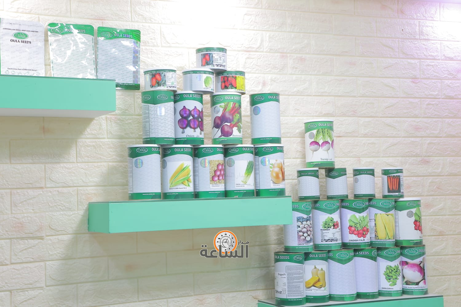 Madar Al-Saa Images 0.2392149789364505