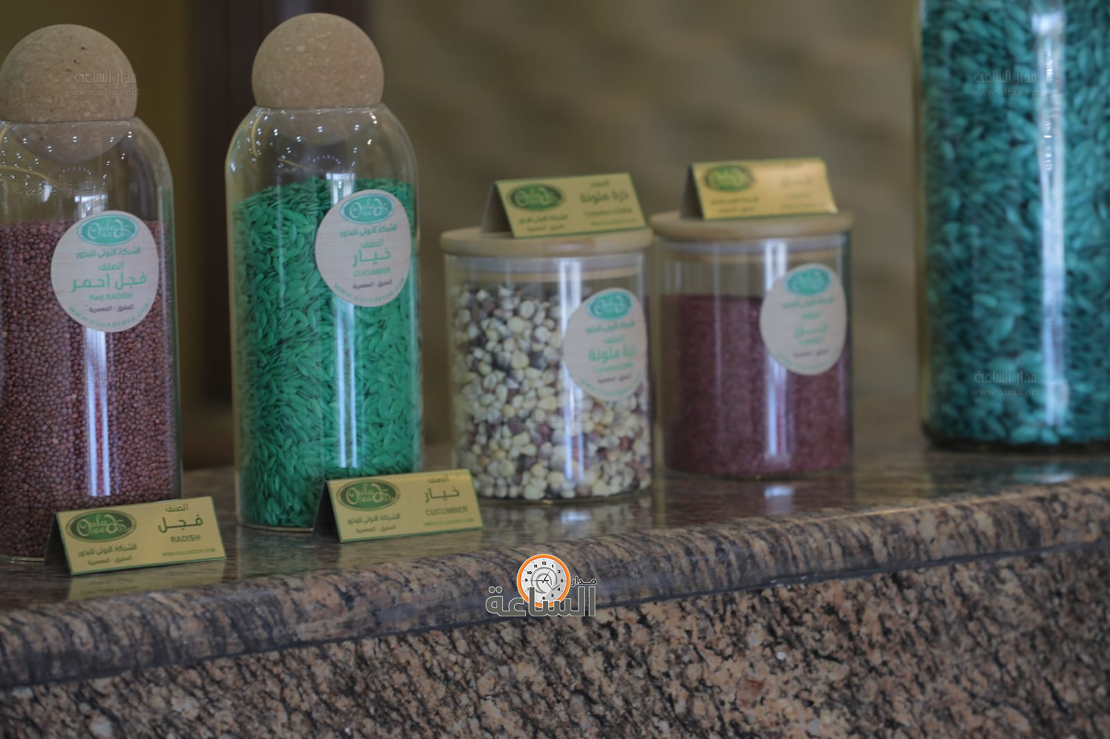 Madar Al-Saa Images 0.6916604508724375