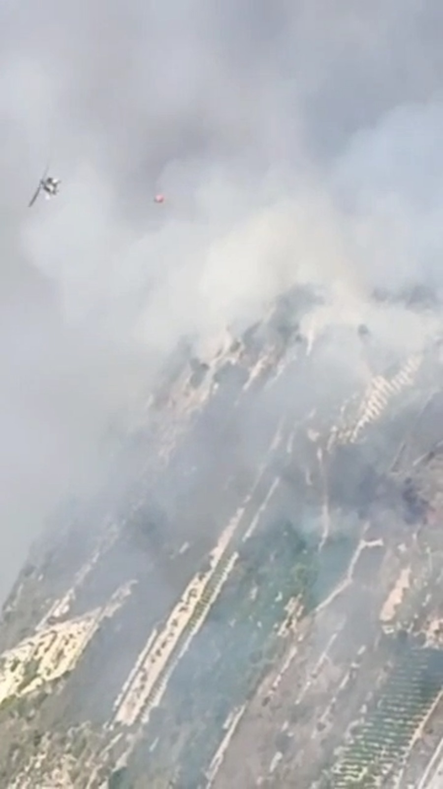 Madar Al-Saa Images 0.8183111990026333