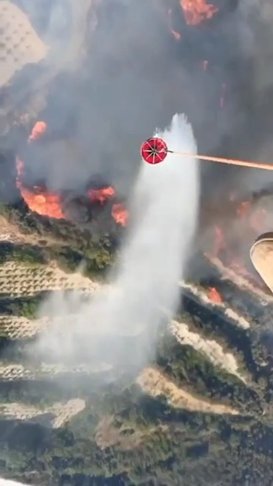 Madar Al-Saa Images 0.6690375398978934