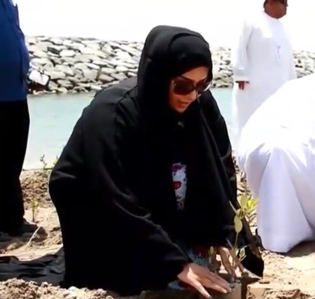 Madar Al-Saa Images 0.30514111791670373