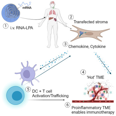 Madar Al-Saa Images 0.6340449646849199