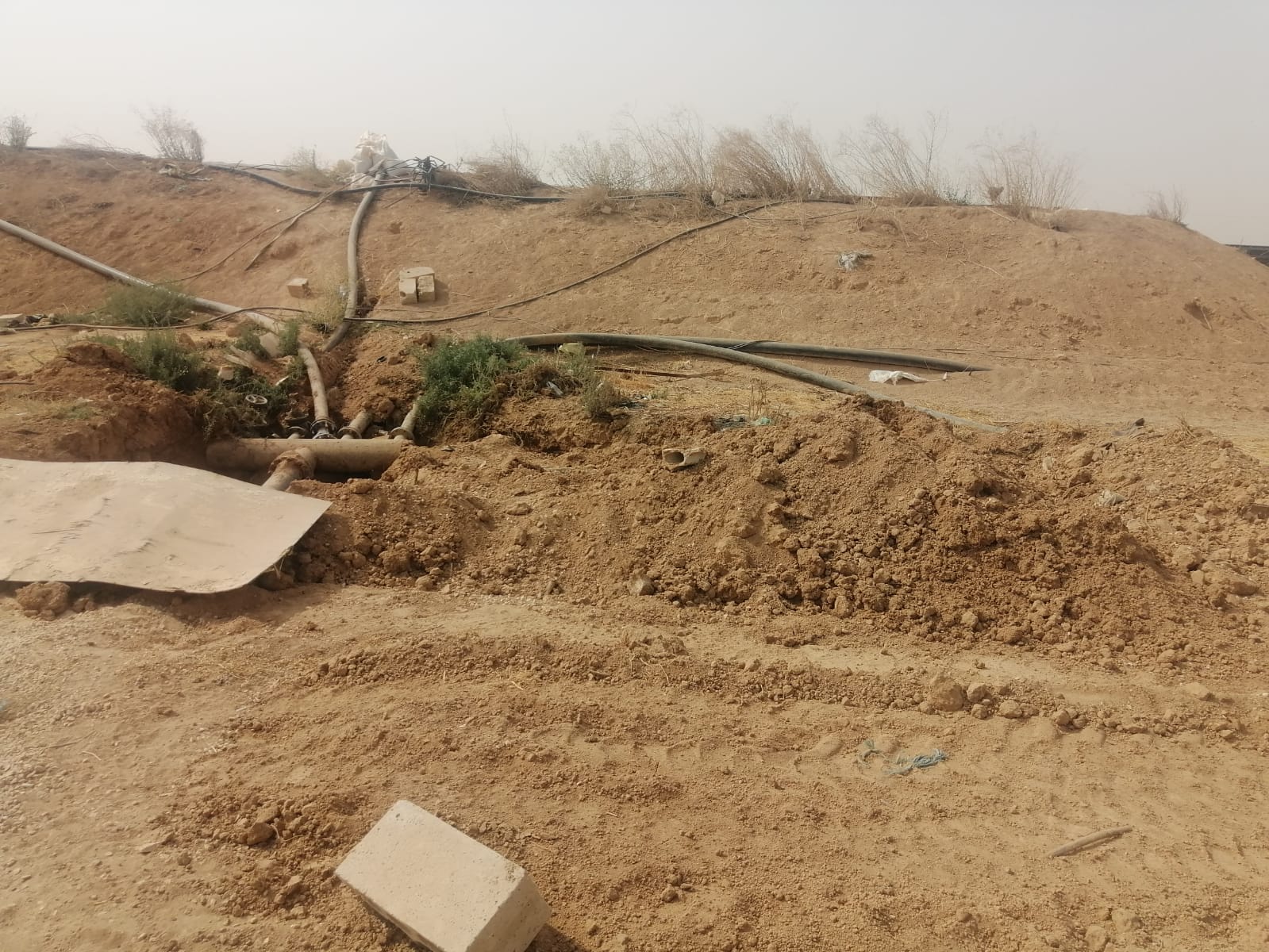 Madar Al-Saa Images 0.5008959202764406