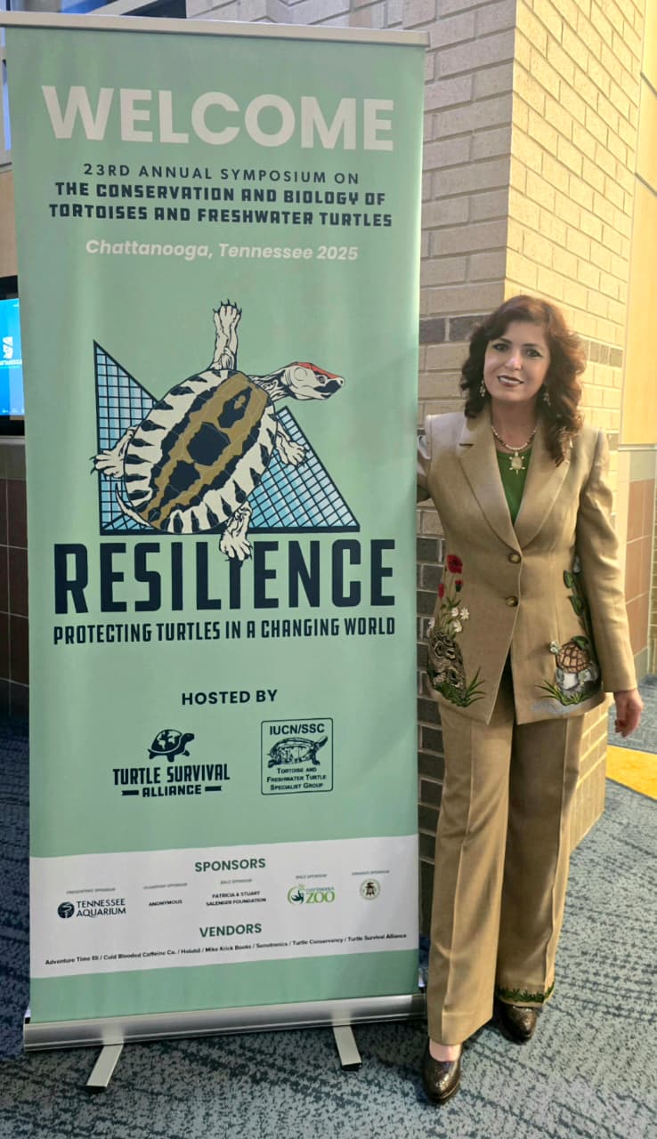 Madar Al-Saa Images 0.3461763473681294