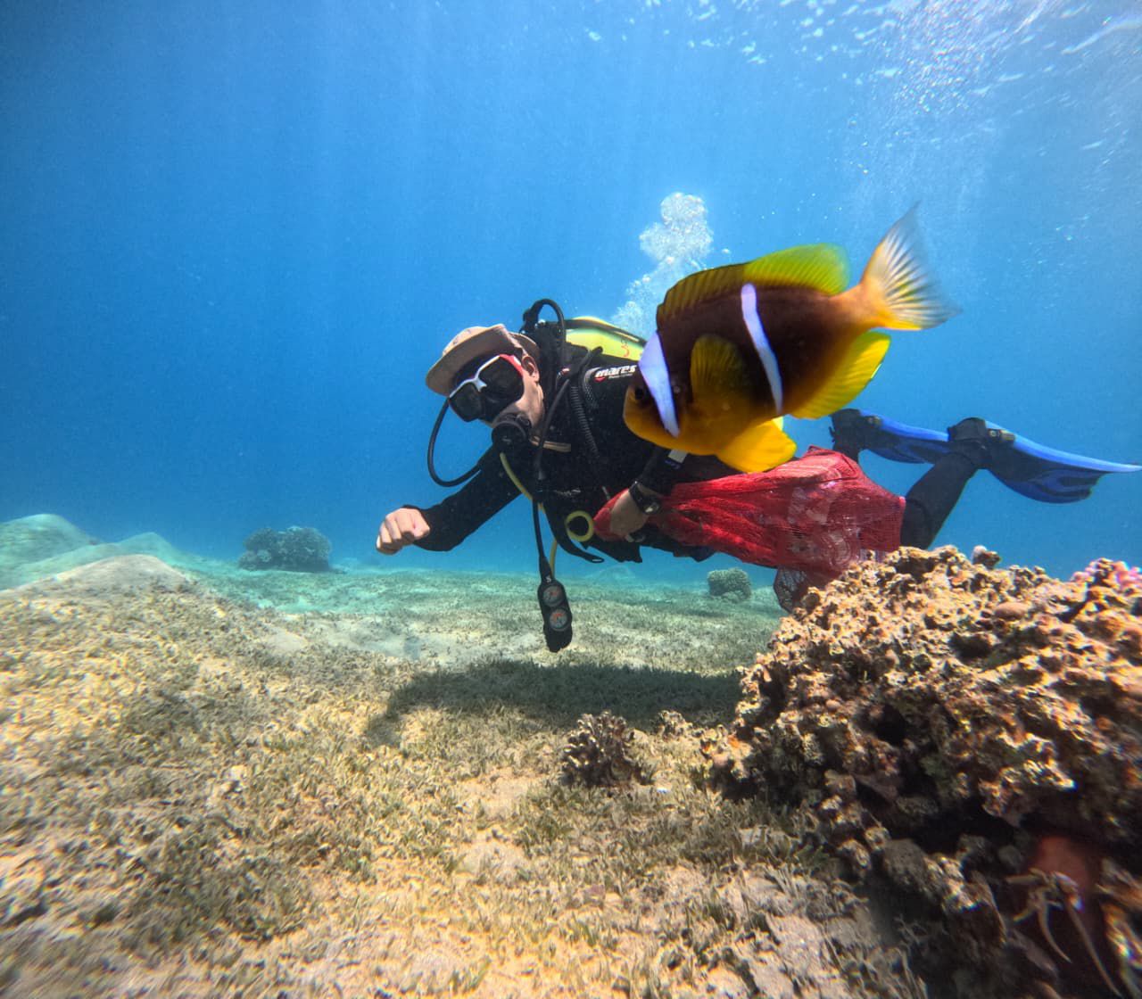 Madar Al-Saa Images 0.9930195162911107