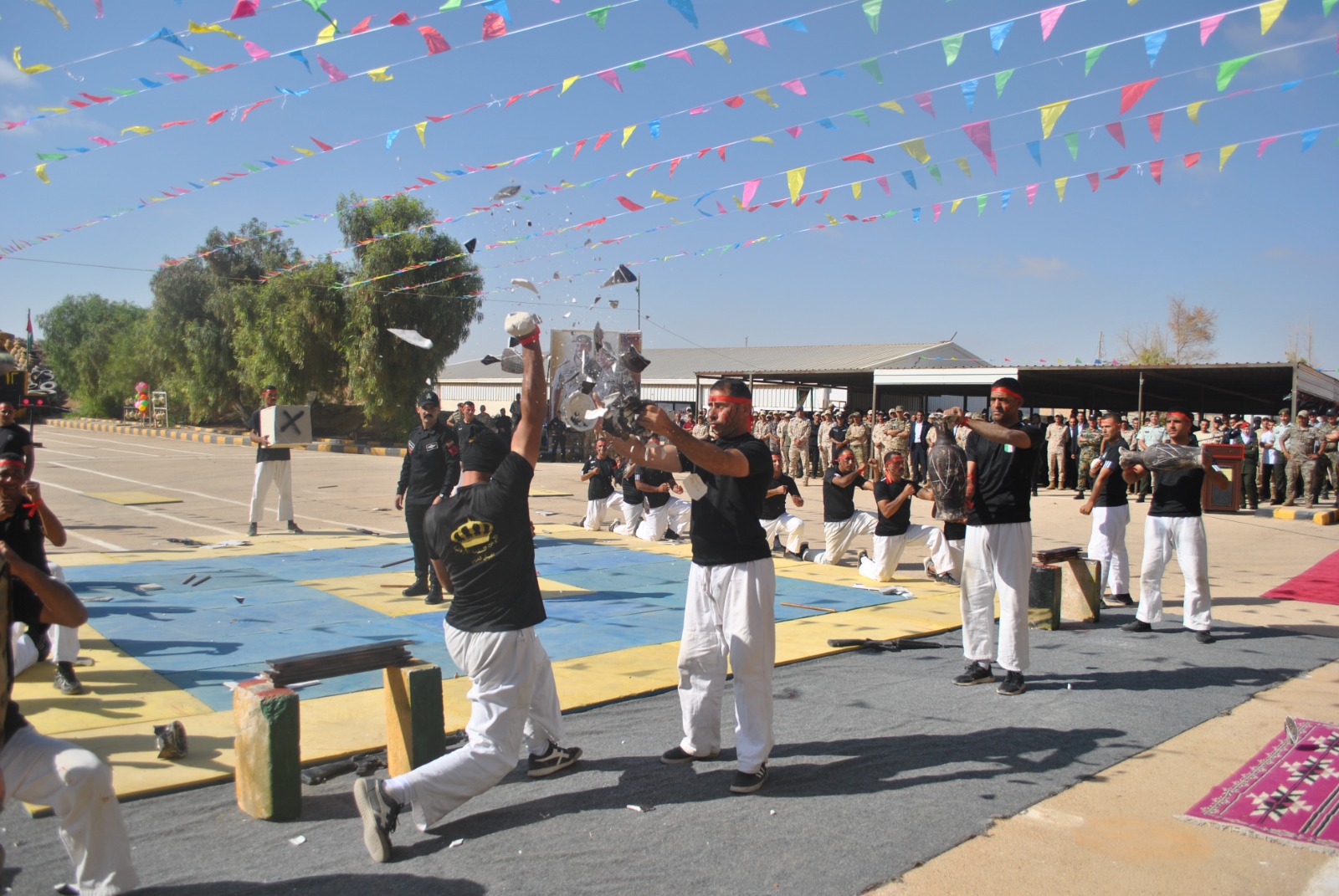 Madar Al-Saa Images 0.8727931723430655