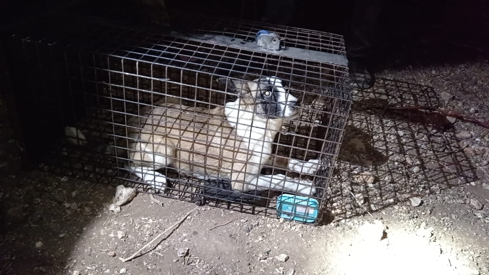 Madar Al-Saa Images 0.7986342200728767