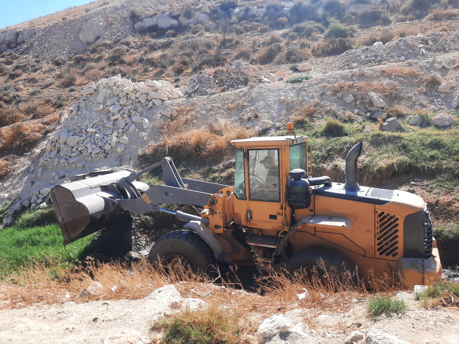 Madar Al-Saa Images 0.508018806295576