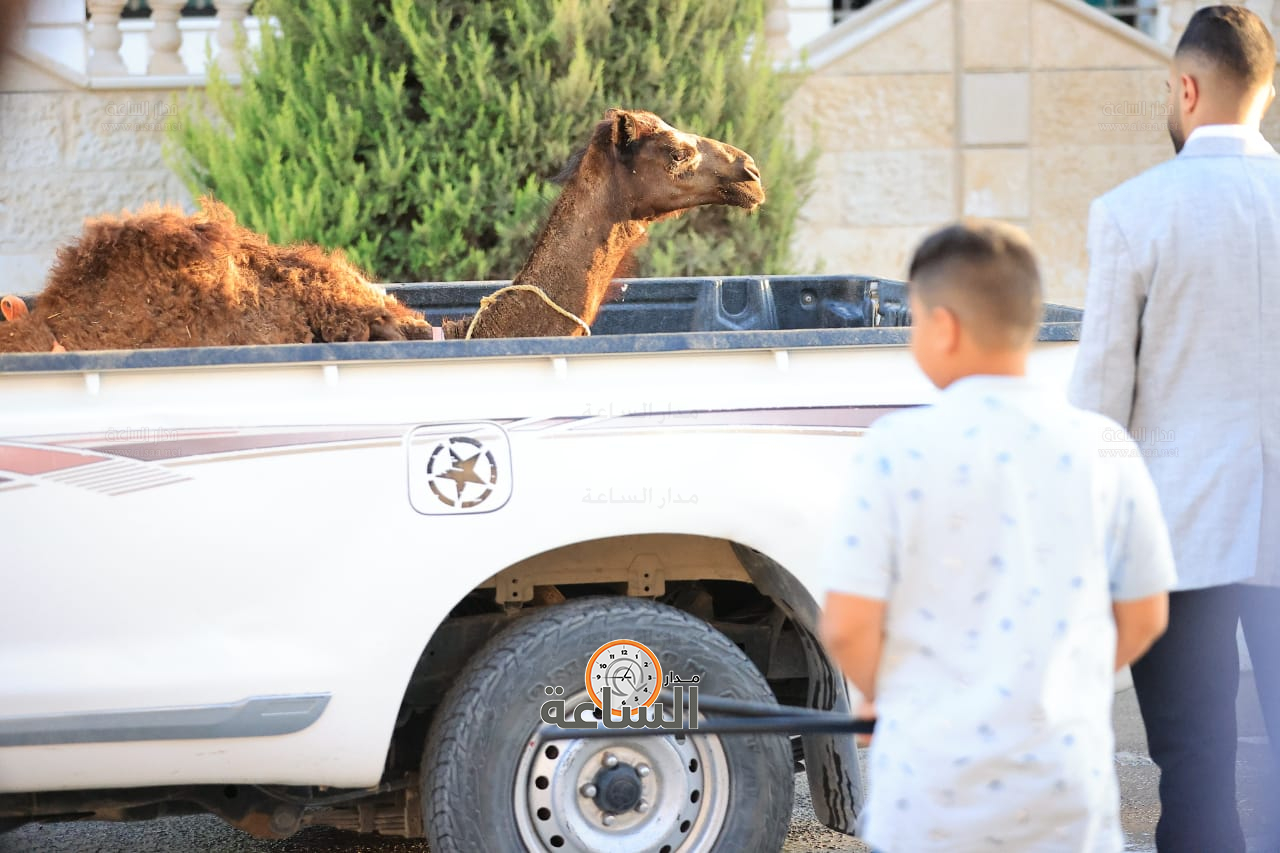 Madar Al-Saa Images 0.8703535402968109