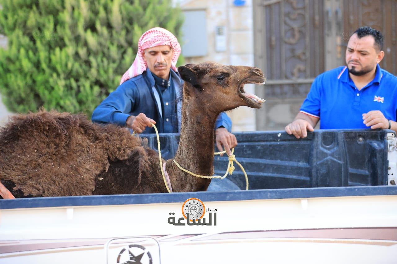 Madar Al-Saa Images 0.05384821742838852