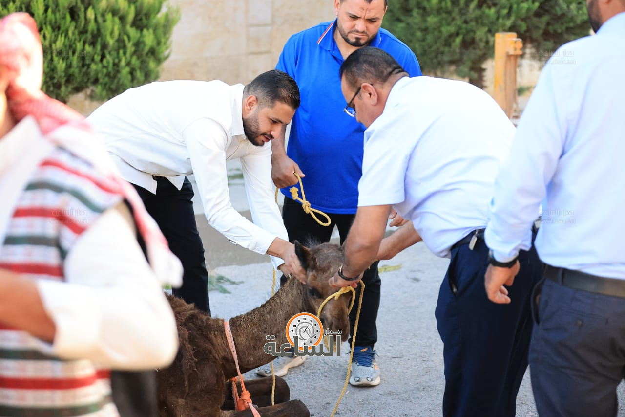 Madar Al-Saa Images 0.6269862850252795