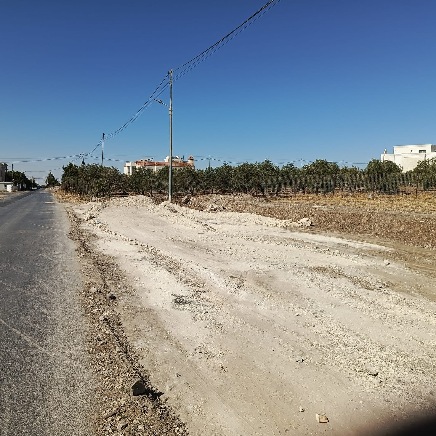 Madar Al-Saa Images 0.8840393358901425