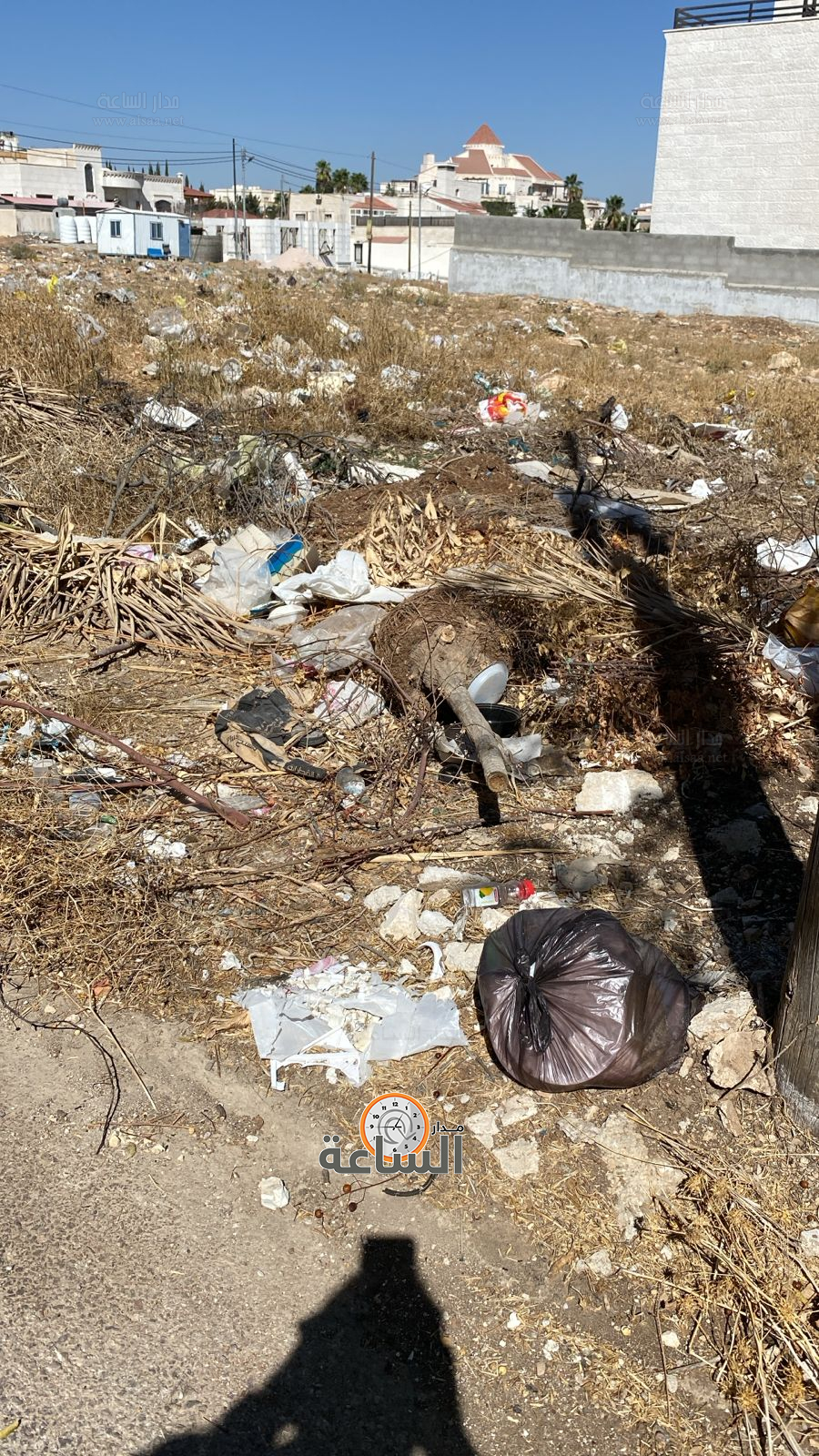 Madar Al-Saa Images 0.6000647088620213