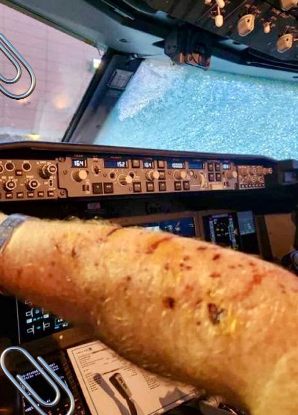 Madar Al-Saa Images 0.5816583867202973