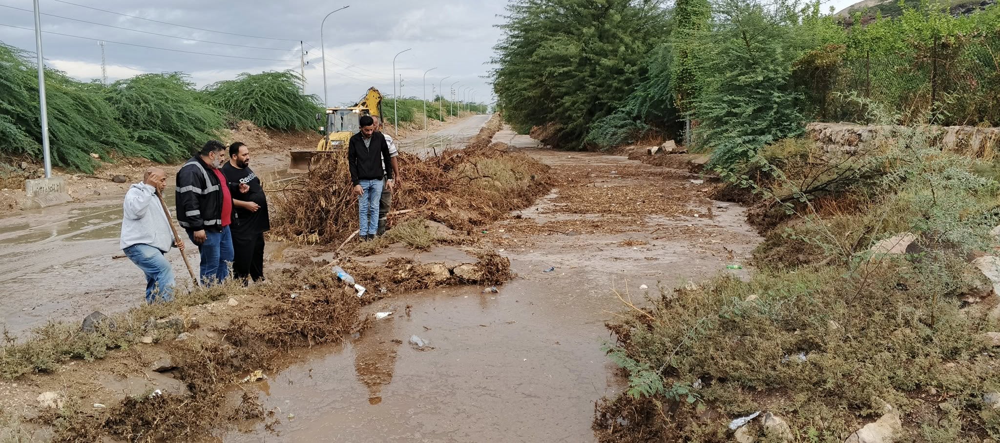 Madar Al-Saa Images 0.15807299710215716