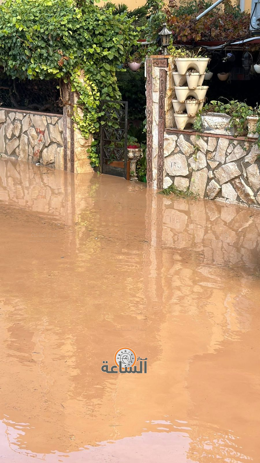 Madar Al-Saa Images 0.05803885780761553