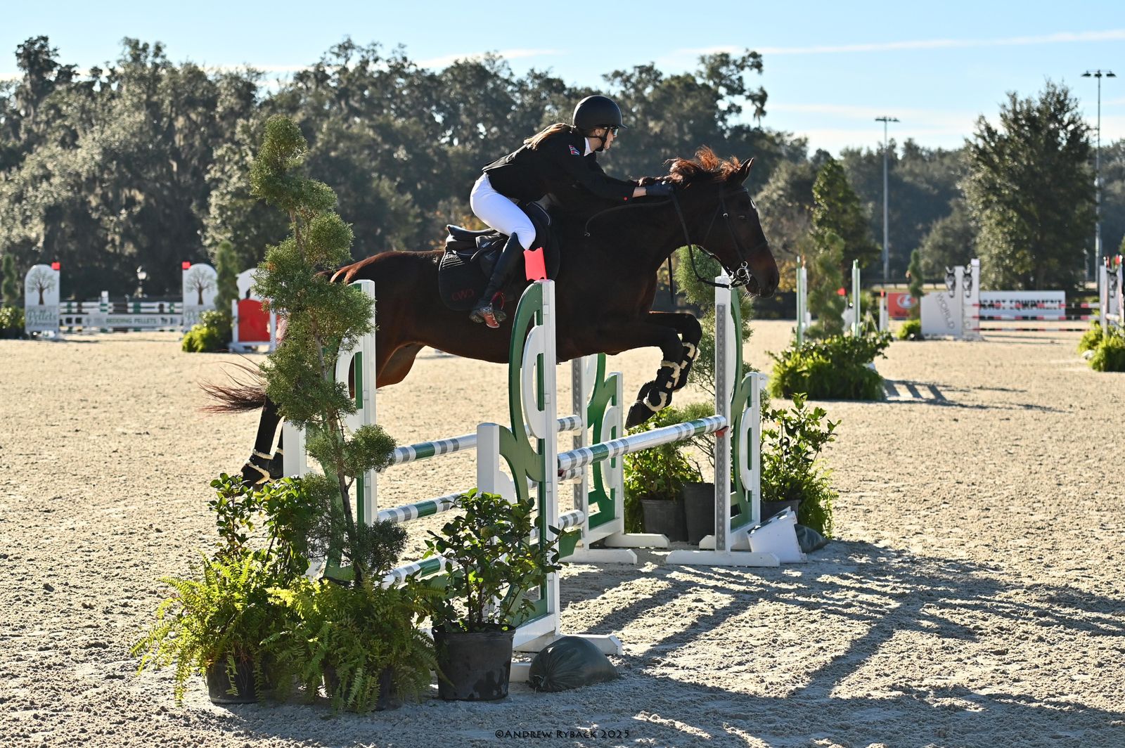 Madar Al-Saa Images 0.5387982827647674