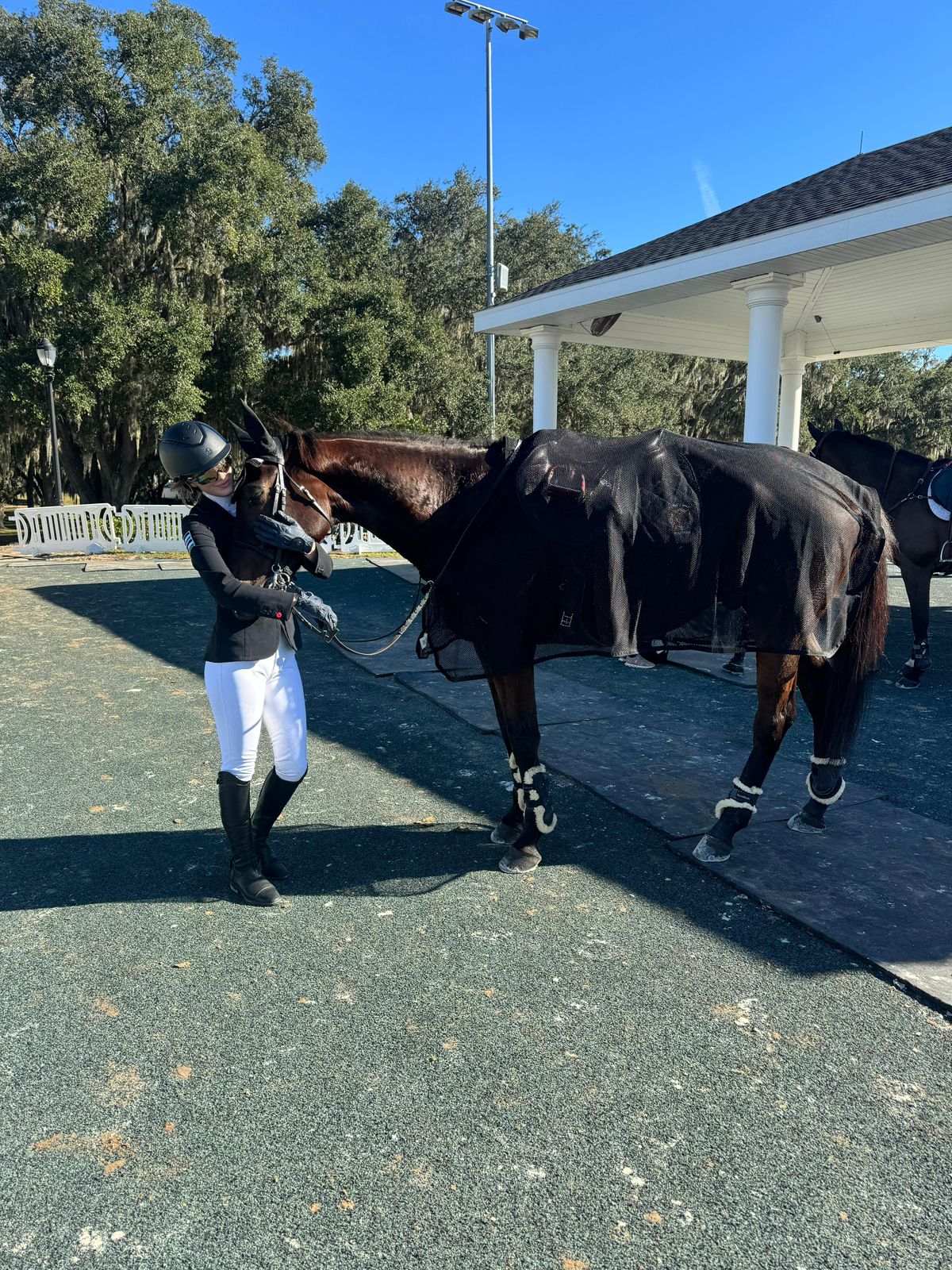 Madar Al-Saa Images 0.11405346140703432