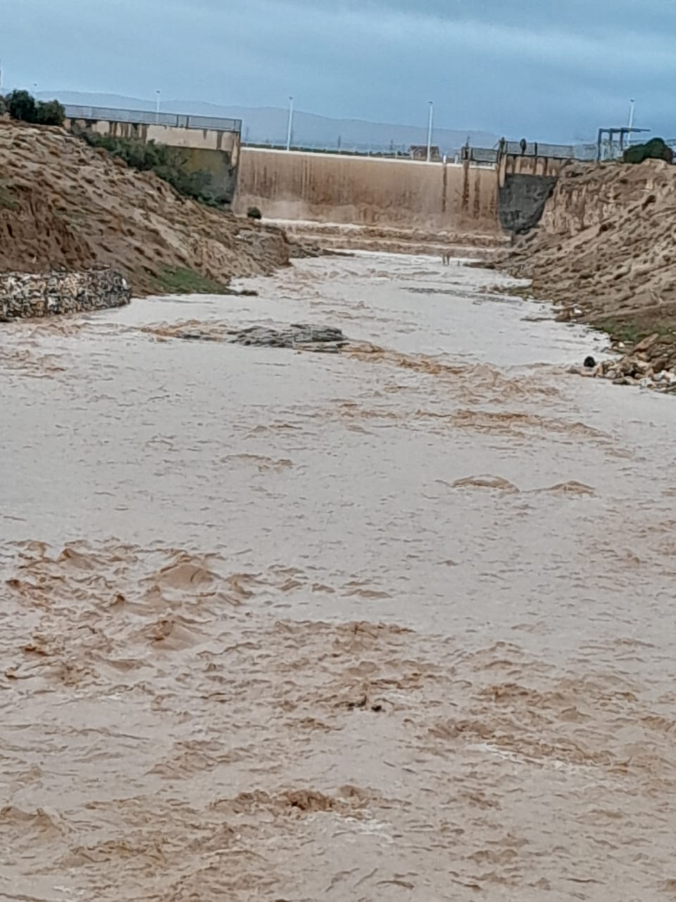 Madar Al-Saa Images 0.10748116630273041