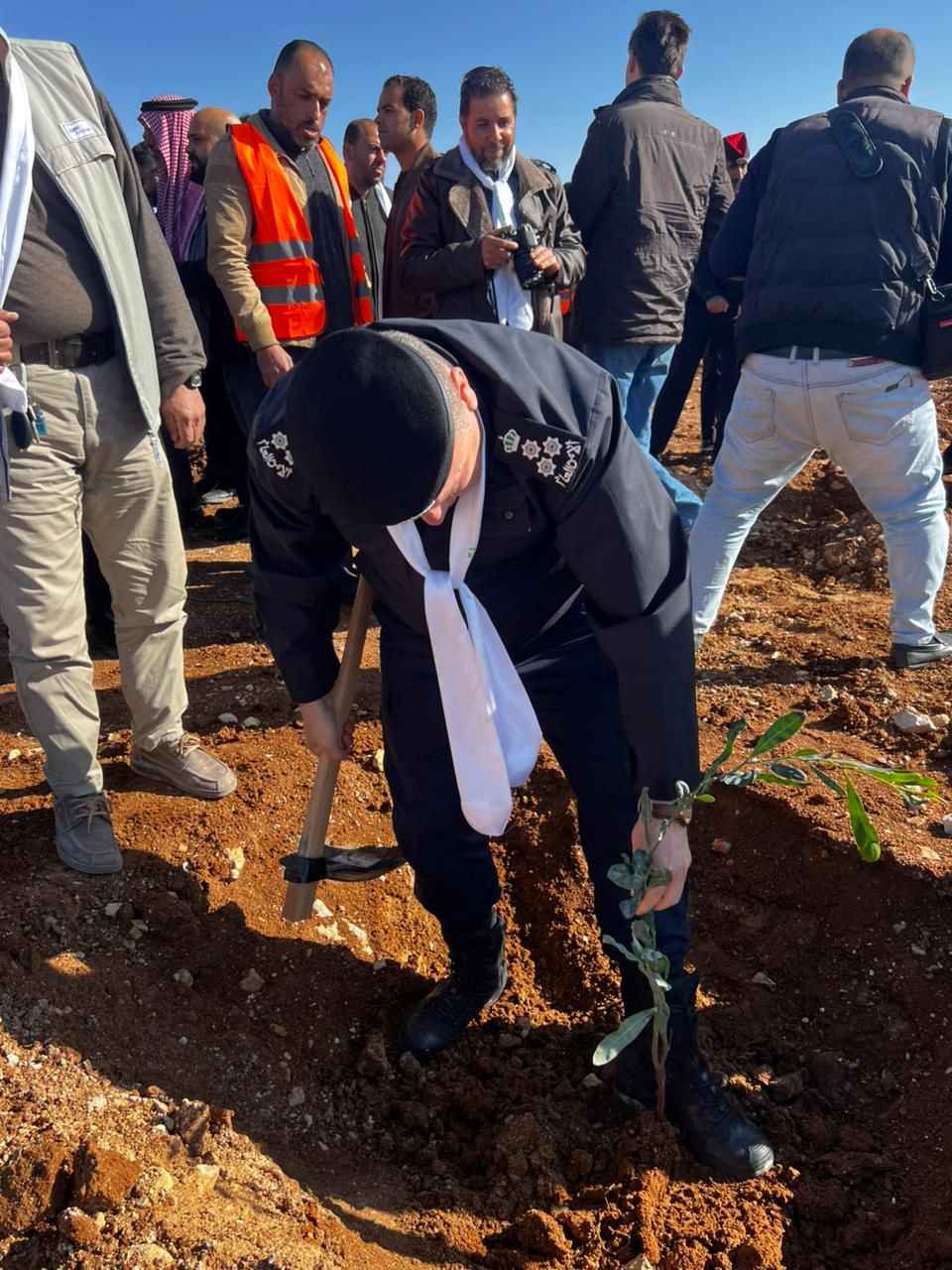 Madar Al-Saa Images 0.9792714715897571