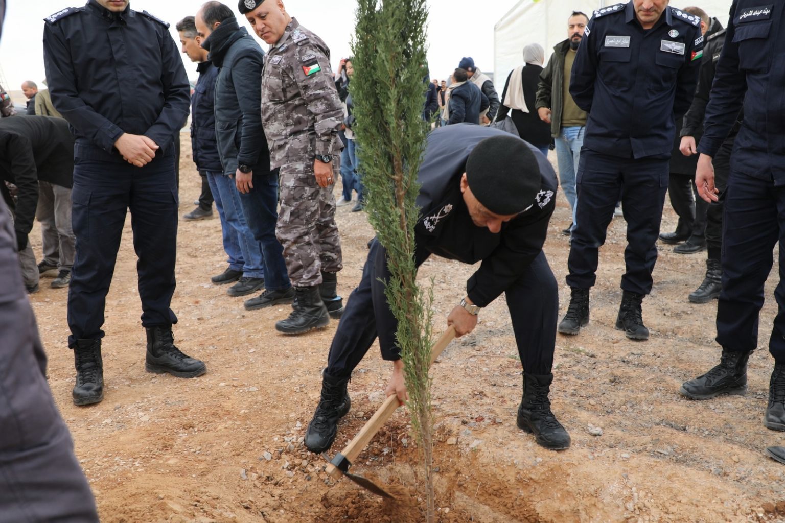 Madar Al-Saa Images 0.06713775271038602