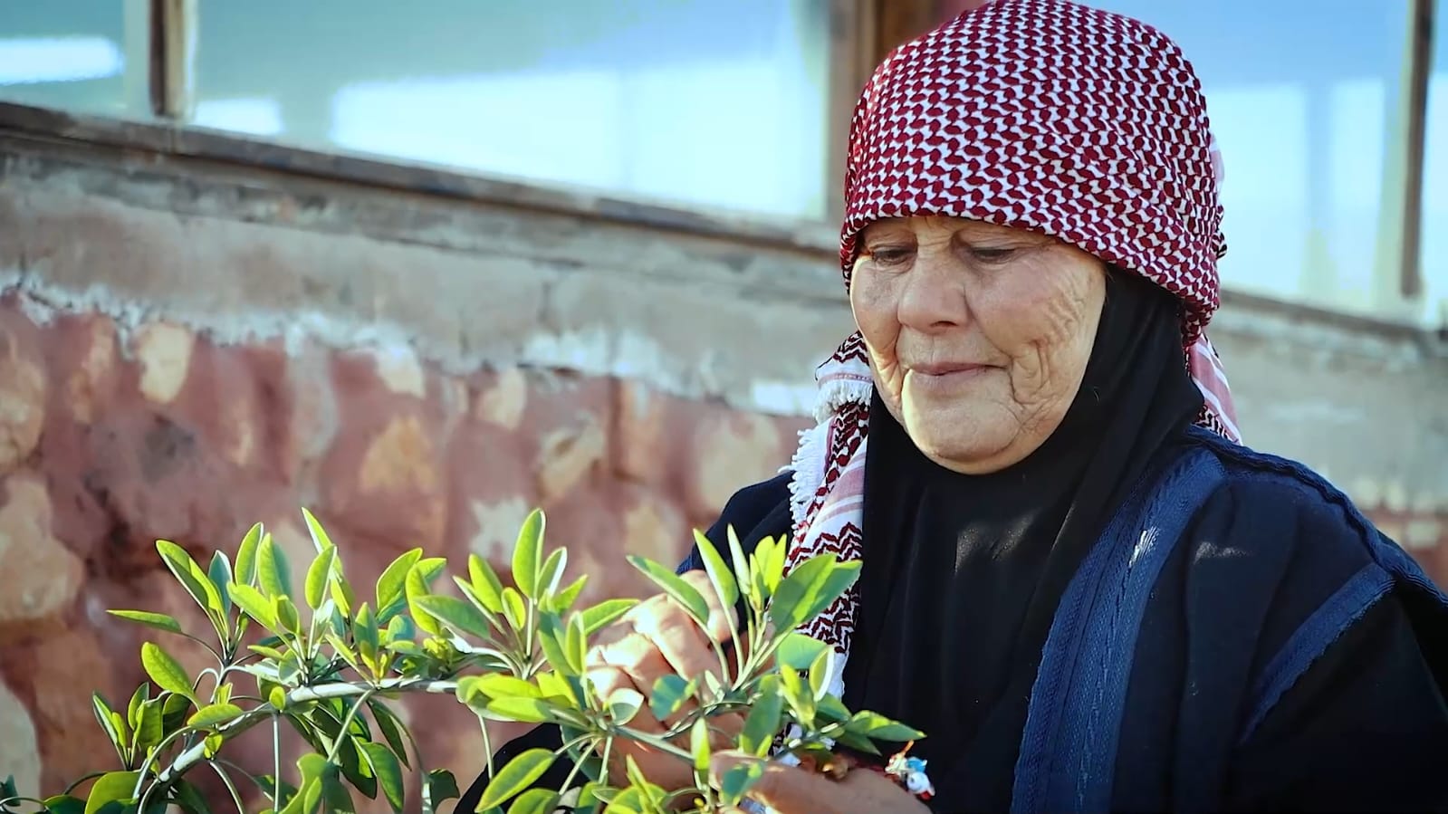 Madar Al-Saa Images 0.6696619098806684