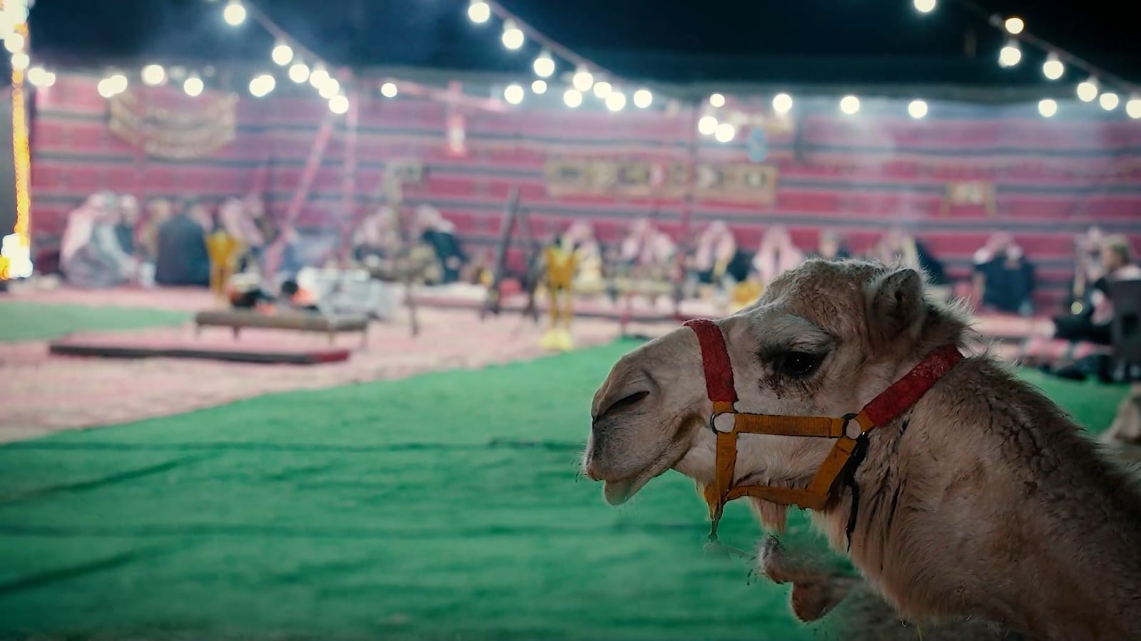 Madar Al-Saa Images 0.22360399992283053