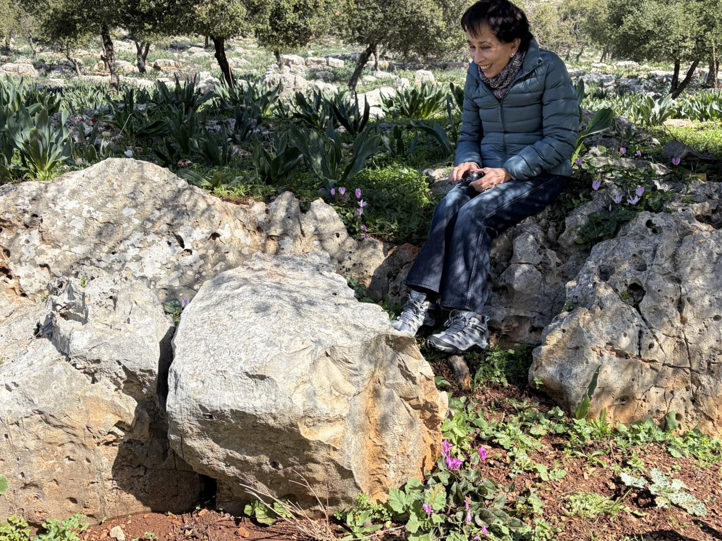 Madar Al-Saa Images 0.35304965622561935