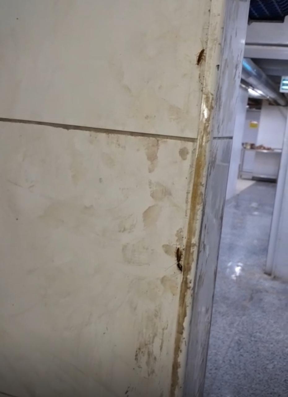 Madar Al-Saa Images 0.7579386969621021