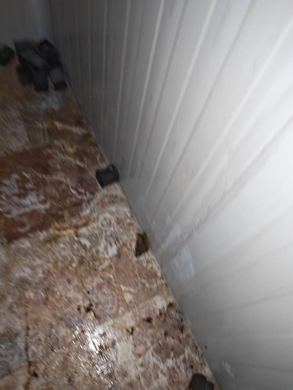 Madar Al-Saa Images 0.18673743693858702