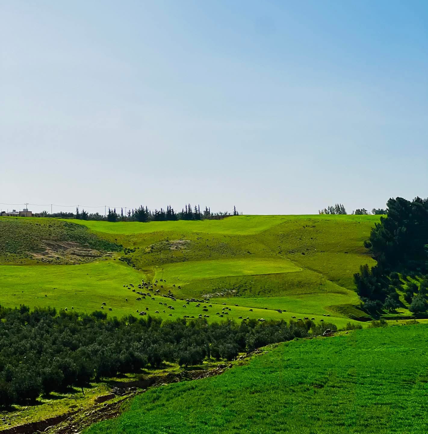 Madar Al-Saa Images 0.3839400430482591