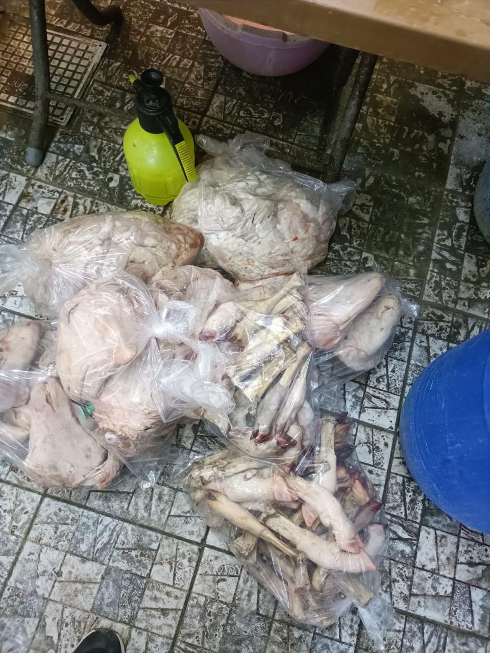 Madar Al-Saa Images 0.4410690465151409