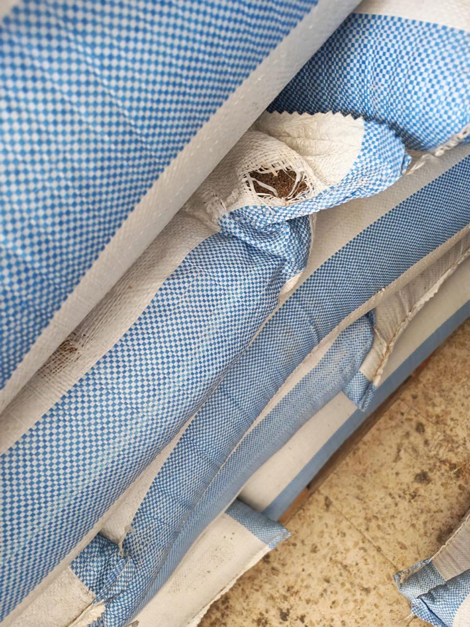 Madar Al-Saa Images 0.8304635484065716