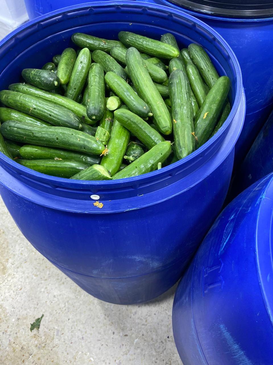 Madar Al-Saa Images 0.7934879744403449