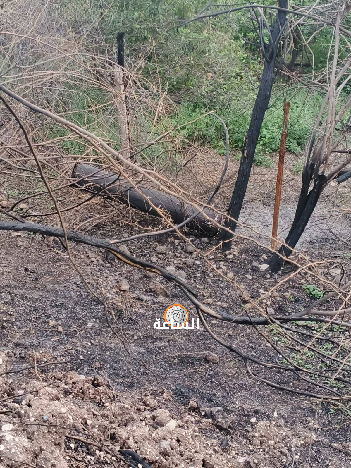 Madar Al-Saa Images 0.26350027779496776