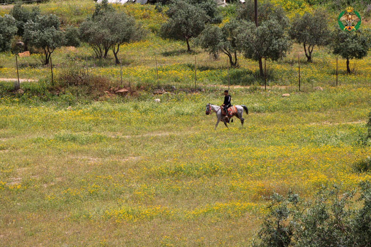 Madar Al-Saa Images 0.9202268042749306