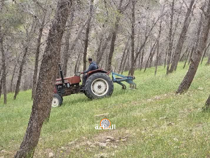 Madar Al-Saa Images 0.28283598432243906