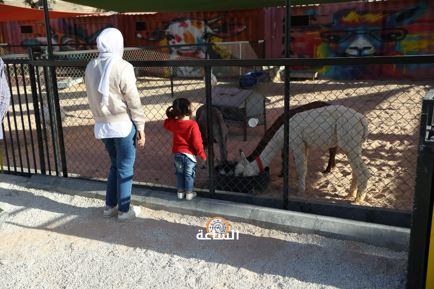 Madar Al-Saa Images 0.5772763744552097
