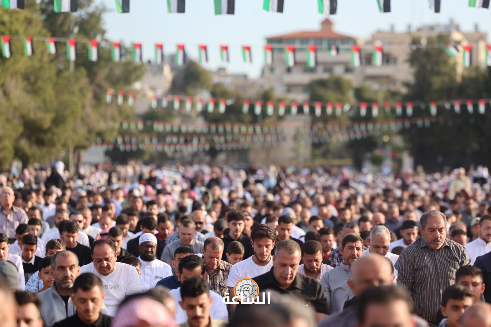 Madar Al-Saa Images 0.6183595903908733