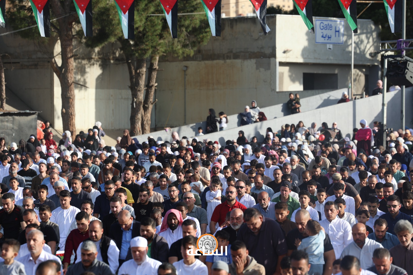 Madar Al-Saa Images 0.5174632148578805