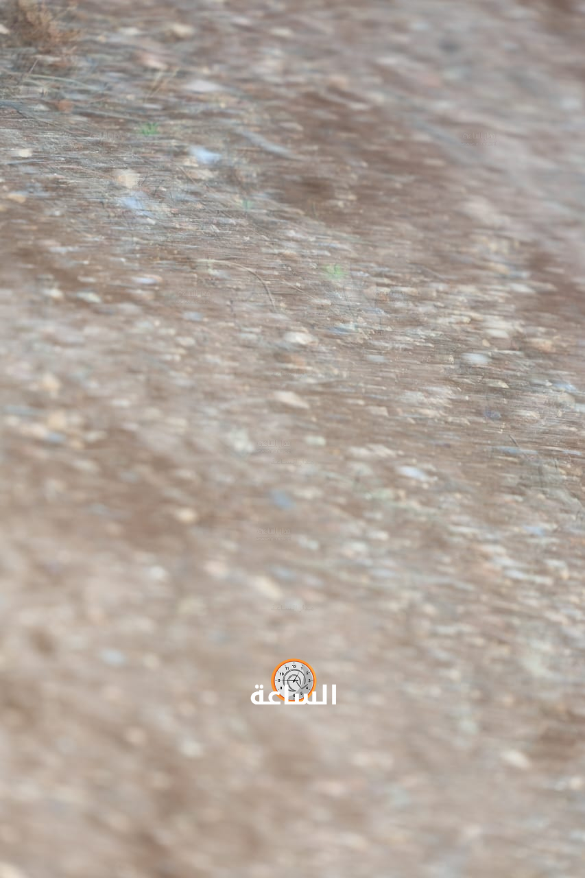Madar Al-Saa Images 0.2848105082712348